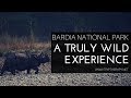 A walk safari in Bardia National Park - Nepal