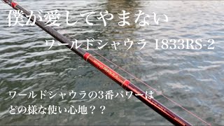 ワールドシャウラ　1833RS-2