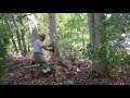 Moving an Oak tree solo with Warn portable winch