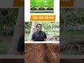 கீழ்மட்ட சொட்டுநீர் பாசனத்தால் உள்ள நன்மைகள் | கீழ்மட்ட சொட்டுநீர் பாசனம் | Sub Surface Irrigation