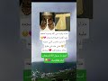 اللهم صل وسلم على النبي ﷺ سبحان الله والحمد لله ولا إله إلا الله لايك متابعه اكسبلور اللهم صل وسلم على النبي ﷺ سبحان الله والحمد لله ولا إله إلا الله لايك متابعه اكسبلور