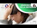 NEUROBIOLOGIA DE LA DEPRESION