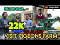 Pigeons Farm Explore || Tamil || YouTribers