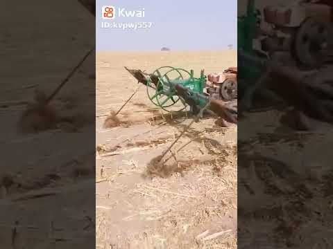 حراث البطاطا