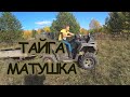 ТАЙГА МАТУШКА! МЕТАЛЛА ВАЛОМ!