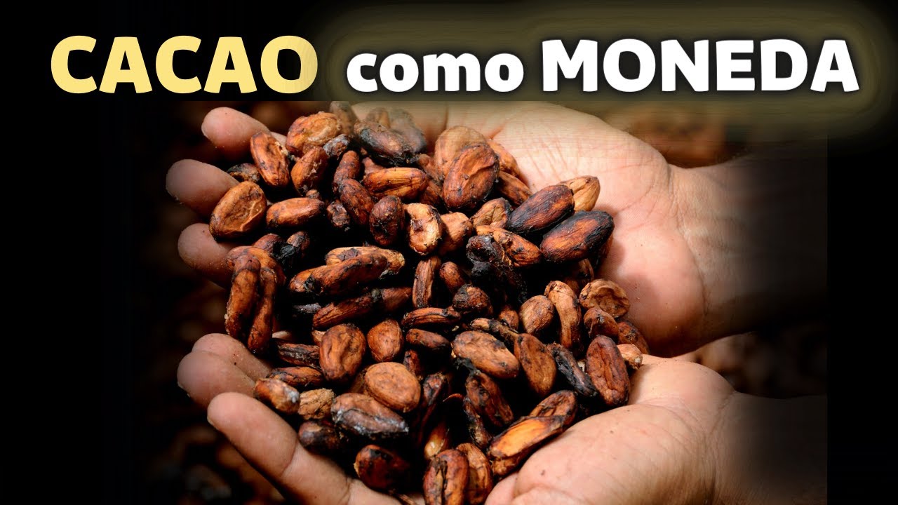 El CACAO como MONEDA - MISTERIOS del MUNDO - COSAS que NO SABÍAS
