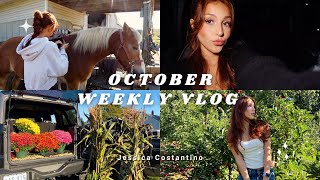 🍎🍂vlog: apple picking, autumn baking, fall festivals, halloween decor,+ jack-o-lantern spectacular