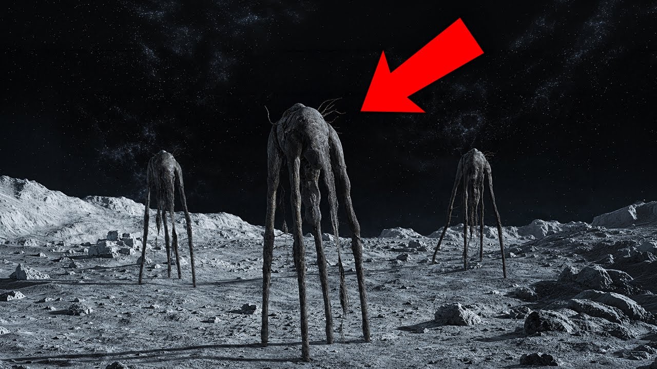 James Webb Captured Something Walking on the Moon — And It ...