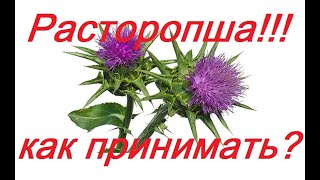 Расторопша - как принимать