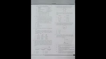 NSO exam 2022 exam paper for 8th class and c model