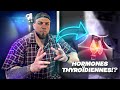 Les hormones thyrodiennes t3t4 augmenter son mtabolisme