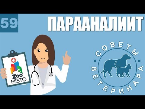 Видео: Ветеринары не лечат болезни - Может ли ветеринарная диета вылечить домашних животных? По-разному