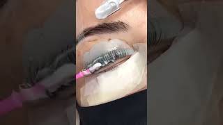 Passo A Passo Natural Lift De Cílios Ílios Curso Na Descrição