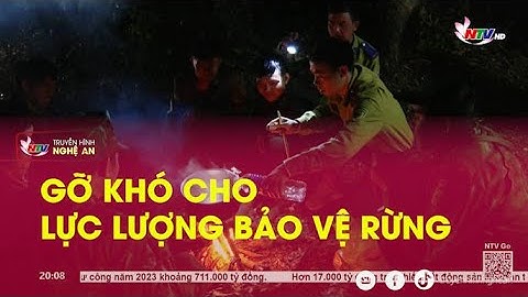 Gỡ khó cho lực lượng bảo vệ rừng