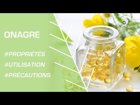 Comment utiliser l’huile d’onagre ? Phytothérapie