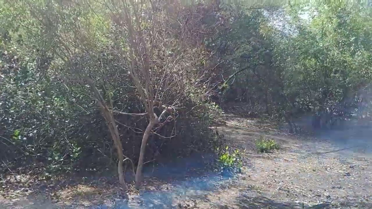 Mostrando o posso redondo!