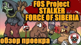 DayZ - [RU] FOS Project | STALKER | FORCE OF SIBERIA | PVE #2  Обзор проекта ! 2 часть