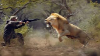 Avcıların Saldırıya Uğradığı En İnanılmaz Anlar! #hayvanlar #belgesel