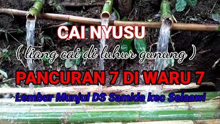Pancuran Tujuh di Waru Tujuh Lembur Munjul ( cai nyusu di luhur gunung )