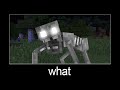 Minecraft wait what meme part 161 (peat mummy)