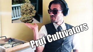 Pruf Cultivar: Papaya Sorbet Strain Review