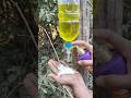 Survival Skills SIMPLE AND USEFUL save SOAP _ Water in Smart #outdoors #campping #survivalskills