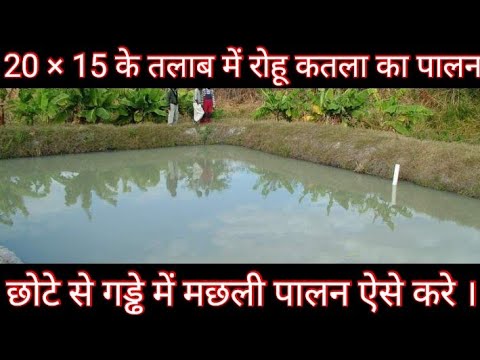 वीडियो: अपने दिल का पालन कैसे करें: 15 कदम (चित्रों के साथ)