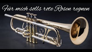 Für mich soll´s rote Rosen regnen (Instrumental)