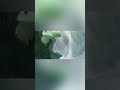 Made in Abyss: Cute Art Hides BRUTAL Dark Fantasy Horror! #shorts