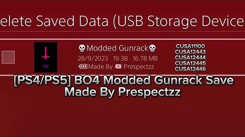[PS4/PS5] BO4 Modded Gunrack Save (Specialists & Fists)(Download In The Description)