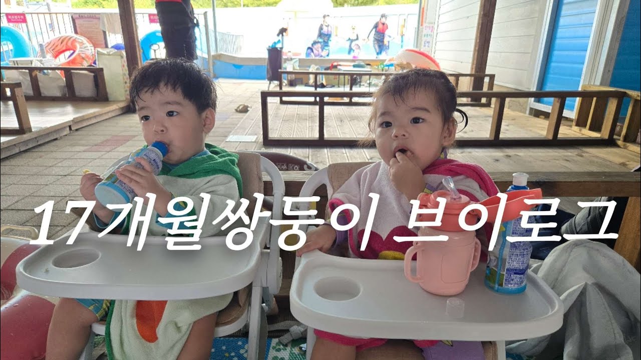17개월 쌍둥이 육아일상 👋/밥먹이는둥이일상