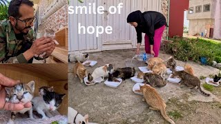 We wouldn't have a smile on our faces if we didn't help all the cats of my city. by Feeding Street Cats 9,220 views 1 month ago 8 minutes, 50 seconds