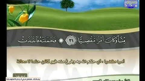 سوره مريم بصوت القارئ الشيخ عبدالله البريمي