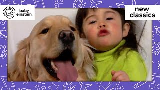 All About Dogs | New Classics | Baby Einstein | Learning Show for Toddlers | Kids Cartoons by Baby Einstein 20,349 views 2 weeks ago 5 minutes, 42 seconds