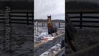 Кто Помнит Этот Шедевр?