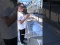 Compact chicken slaughter line