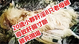 山東20歲小夥奸淫8只老母雞,導致肝腸寸斷,雞死現場 #真實事件 #奇聞奇事
