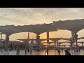 كل القلوب إلى الحبيب تميل عمار الفوري mp3