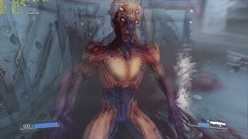 [FX-4130 OC - GTX 1050 2G - 8GB RAM] DooM (2016) Medium settings