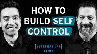 How to Build Self Control | Dr. Kentaro Fujita & Dr. Andrew Huberman Net Worth