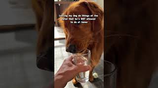 Did I Miss Anything?