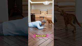 Le Chat A Appelé La Police😨