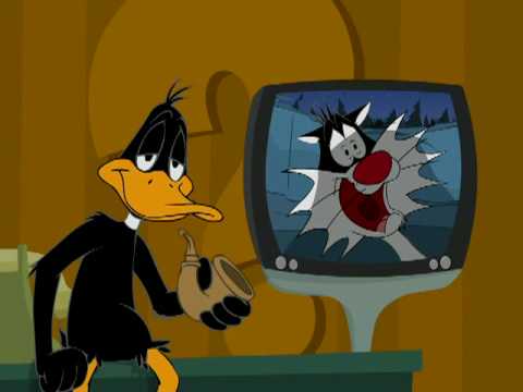 news anchor panty flash from Jamison looney tunes webtoons dating dos and donts