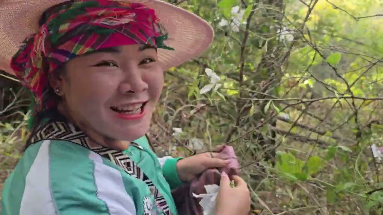 mus di paj haum tsav