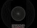 WATCH THIS NOW: If Math Functions Had a Sound
