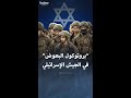بروتوكول البعوض في الجيش الإسرائيلي 