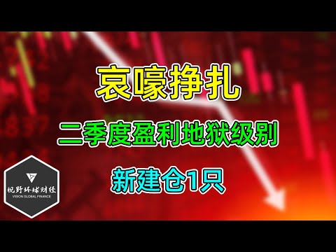 美股 哀嚎挣扎！二季度盈利地狱级别！新建仓1只，调整2只！一些个人感想！