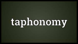 Taphonomy Meaning