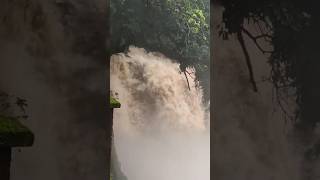 Harvalem waterfall Goa#shots #moonsoon #waterfalls #goa #ytshorts #shortsfeed #viral #trending