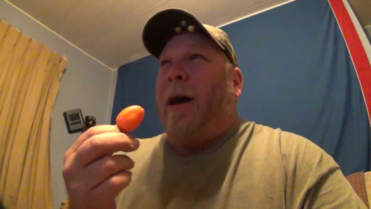 WORLDS BEST Habanero Pepper Challenge YouTube